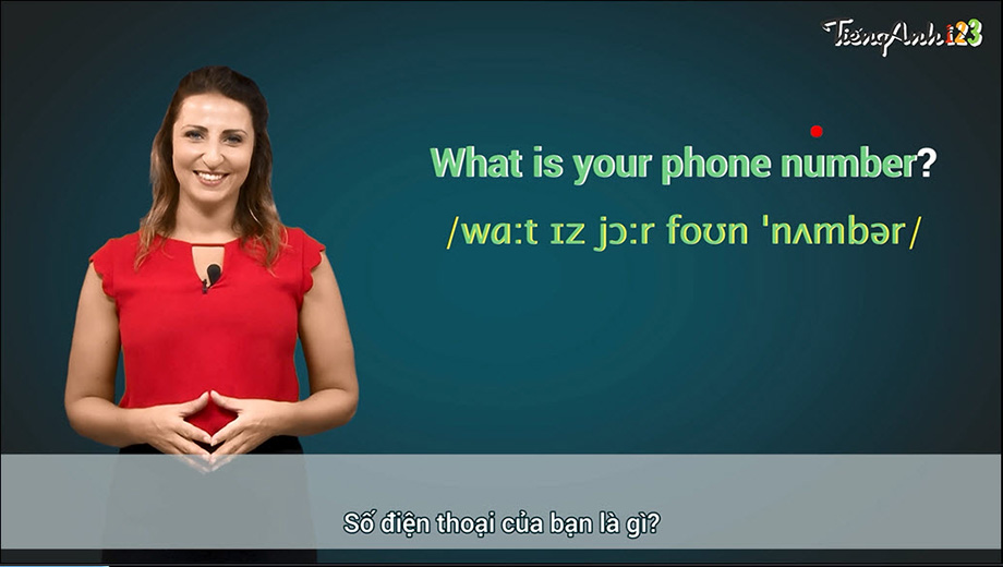 What is Your Email Address là gì? Tìm hiểu ngay để không bỏ lỡ cơ hội kết nối!